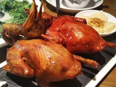 -大鸽饭(岗顶店)