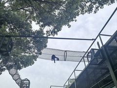 -无锡动物园·太湖欢乐园