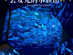 -香港海洋公园