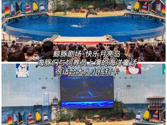 -海合安天津极地海洋公园