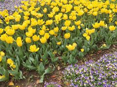 -玄武湖景区-情侣园游乐场