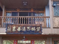 -紫鹊界梯田景区