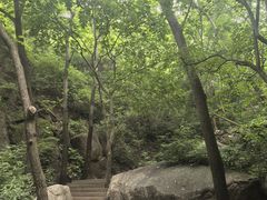 -大岭沟猕猴桃谷风景区