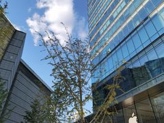 -Apple零售店(华贸购物中心店)