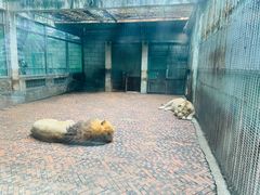 -攀枝花公园