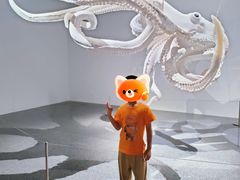 -凤凰中心