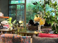 -咖法森林·咖啡  酒吧(天河店)