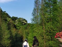 -云溪植物园