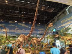 -自贡恐龙博物馆