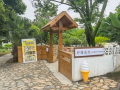 -柠檬花院烤肉·会议团建·聚会·求婚(三圣乡店)