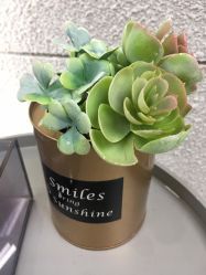 -TRIMS HAIR 修剪造型·烫染接发
