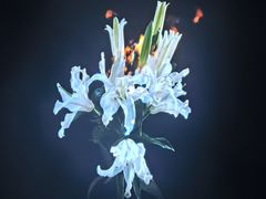 -华熙生物·润百颜ECM中心