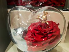 -ROSEONLY诺誓(磐基中心店)