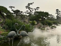 -罗红摄影艺术馆