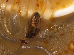 -东园小馆·早茶·淮扬小炒(三盛广场店)