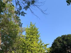 -食膳公园包子铺(烈士公园店)