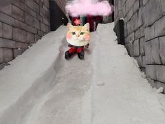 -长沙湘江冰雪世界