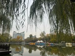 -莲湖公园