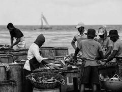 -尼甘布海鲜市场