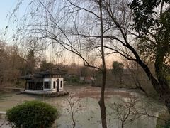 -扬州大运河文化旅游度假区·盆景园