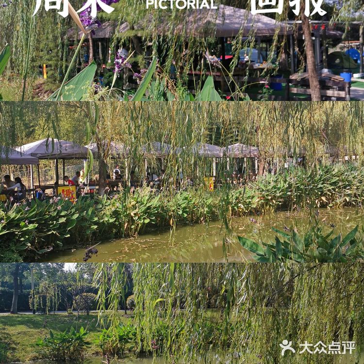 望虞人家 | 户外烧烤初体验