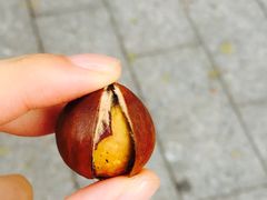 -阿男野栗王(金门路店)