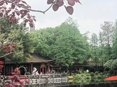 -顺峰山公园
