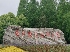 -东平国家森林公园