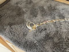 -十八字金银饰·拼豆·开蚌手工体验团建(君太百货店)