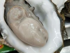 -渔民船说·北塘海鲜·天津菜·海肠捞饭(北塘古镇店)
