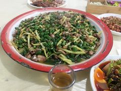 -东吴霸王兔(松青路店)