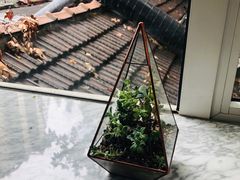 -蝶舍·MAISON PAPILLON