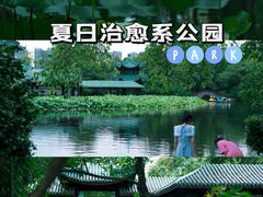 -桂湖森林公园