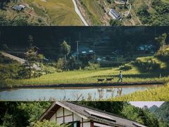 -梧桐山风景名胜区