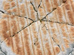 -钰洁腊排骨火锅