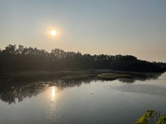 -大湾区中央湿地公园