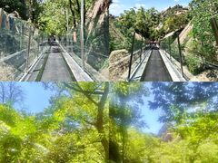 -嵖岈山风景区