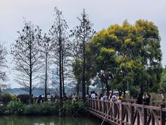 -海珠湖公园