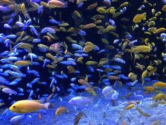 -成都浩海立方海洋公园