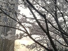-多克多蒸气茶DOKDO(鼓楼绿地店)