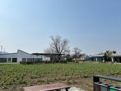 -田园东方蜜桃村的田野营地