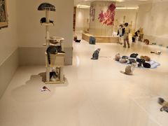 -福州远洋德呈乐堤港