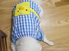 -伽利略剧本探案馆(国贸店)