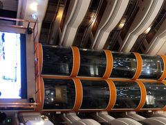 -五谷芳乳鸽王(海景店)