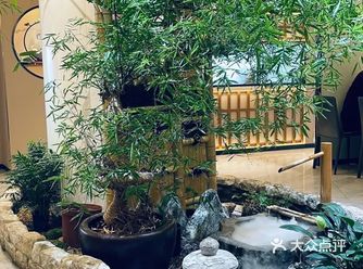 偶然间发现这家小馆,环境非常优雅,店内装修很有中国风
