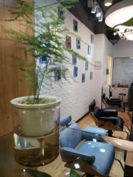 -Show fa salon 秀发沙龙