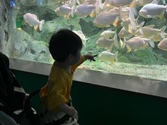 -常州海昌海洋探索馆