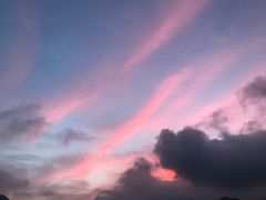 -北岐滩涂