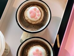 -喵屿·大理花园猫咖