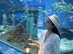 -海合安武汉极地海洋公园